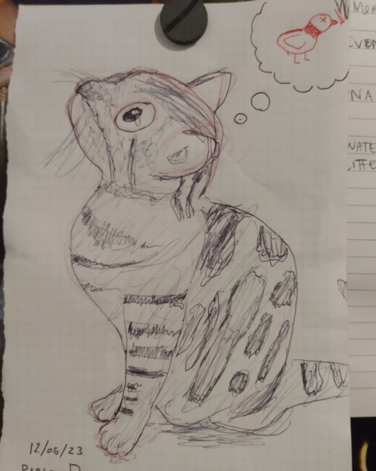 Dibujo del gato Benji img