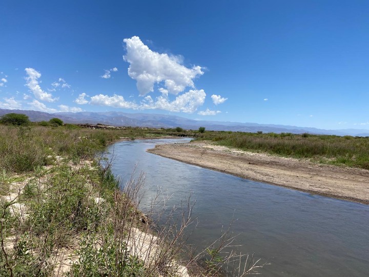 Río, tierra, plantas. Por aquí corríamos. img
